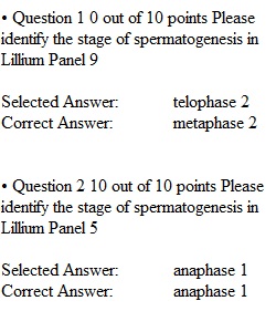 Assignment 2